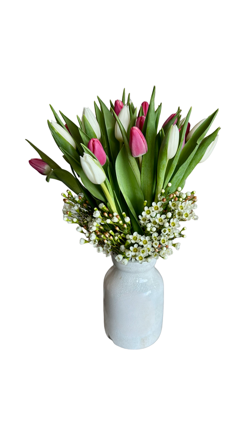 What is the most popular spring bulb bloom?
