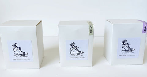 Little Petal Candle Collection