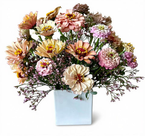 The Zinnia Garden