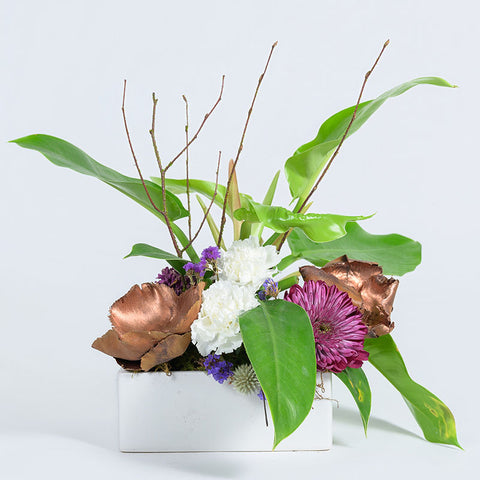 Live Planters