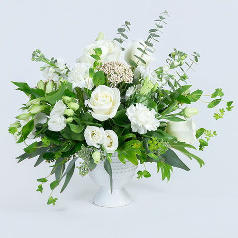 Timeless White