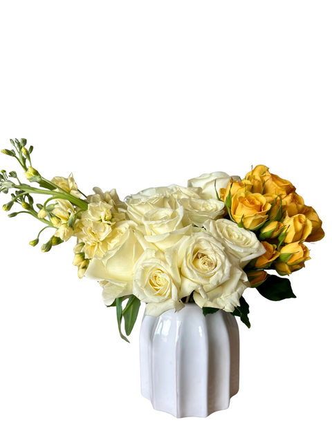 Ivory & Sunshine